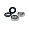KIT RULEMAN MAZA TRASERO SHERCO, GAS GAS BETA