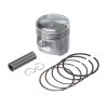 KIT PISTON STD CB250F CRF250F CANYON250